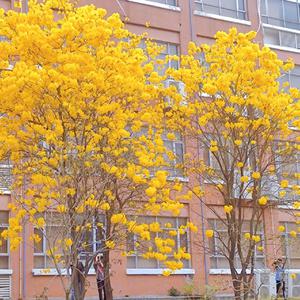 憋尿强奸的故事
